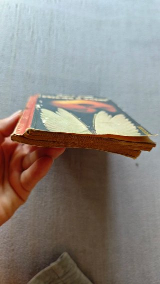 Libro "Miedo a volar" - Erica Jong