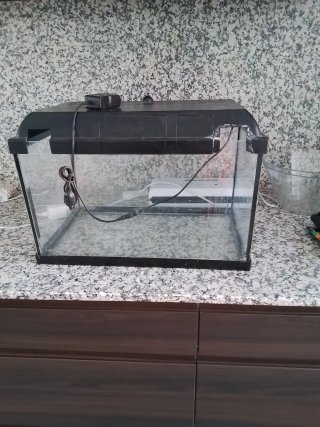 Acuario 50x28x30cm con accesorios