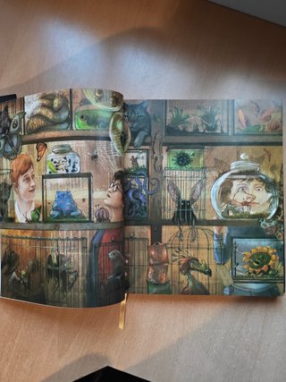 Libros de Harry Potter ilustrados