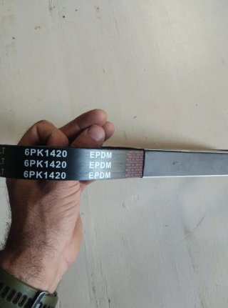 Correa V-Ribbed RIDEX 305P0138