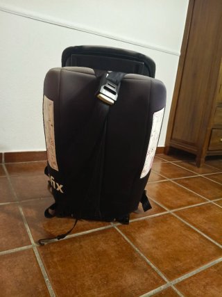 Silleta de coche Penguin