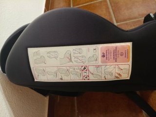 Silleta de coche Penguin