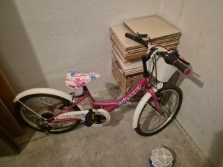 Bicicleta infantil rosa 20