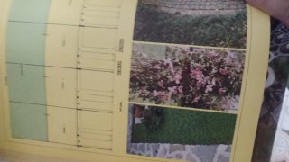 Libro guida L'architetto in giardino