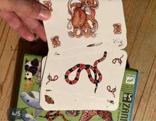 Juego de mesa ZANIMATCH Djeco