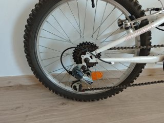 Bici Avigo 20' infantil