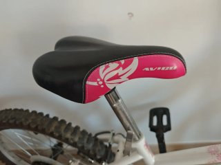 Bici Avigo 20' infantil