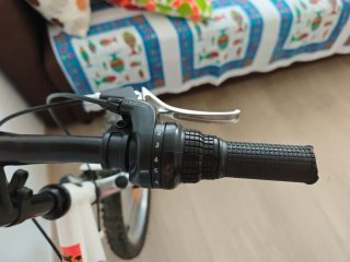 Bici Avigo 20' infantil
