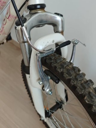 Bici Avigo 20' infantil