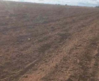 • VENTA DE FINCA DE 600HECT  •42HECT VIÑEDO .