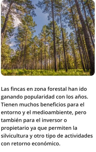 • VENTA DE FINCA DE 600HECT  •42HECT VIÑEDO .