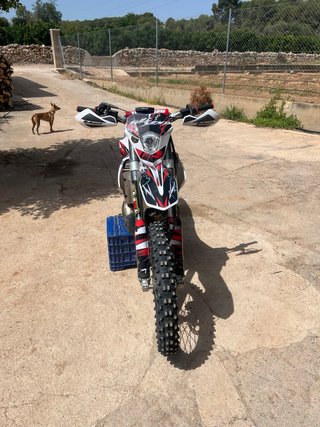 Gas Gas EC 250