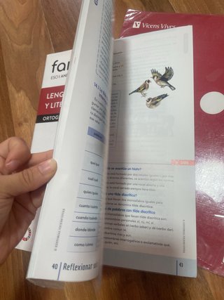 Lengua Castellana y Literatura 2°ESO