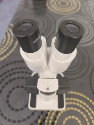Microscopio Bresser 20X stereo