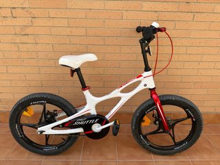 Bicicleta infantil Royalbaby 5-9 años