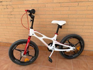Bicicleta infantil Royalbaby 5-9 años