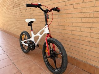 Bicicleta infantil Royalbaby 5-9 años