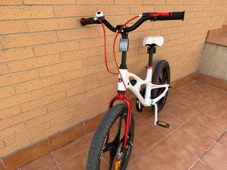 Bicicleta infantil Royalbaby 5-9 años