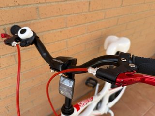Bicicleta infantil Royalbaby 5-9 años