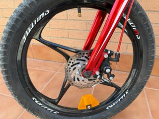 Bicicleta infantil Royalbaby 5-9 años