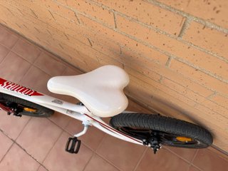 Bicicleta infantil Royalbaby 5-9 años