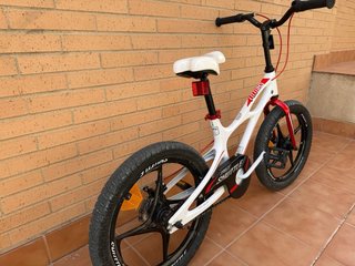 Bicicleta infantil Royalbaby 5-9 años