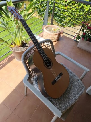 Guitarra española admira mod irene con funda