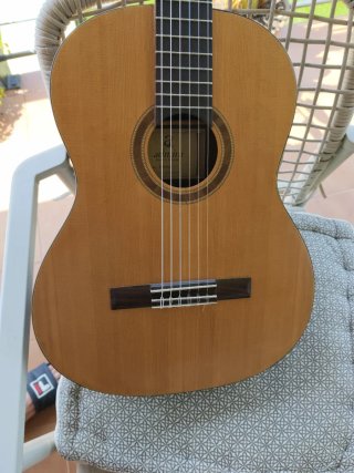 Guitarra española admira mod irene con funda