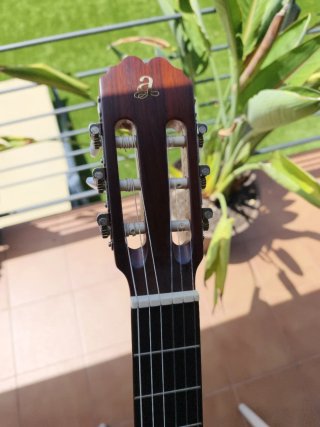 Guitarra española admira mod irene con funda