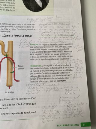 Biología y Geología, 3 Secundaria, Andalucía Re...