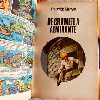Grandes Novelas Ilustradas