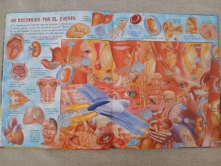 Conjunto de 12 libros de la Colección Buscar