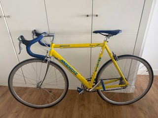 Bicicleta Mendiz Aluminio 7005