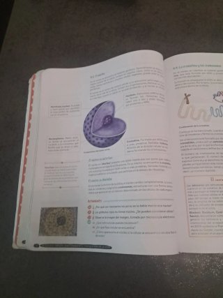 Biología y Geología, 4 ESO, Andalucía