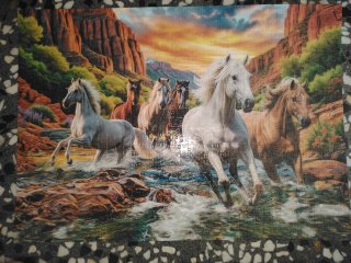 Puzzle montati