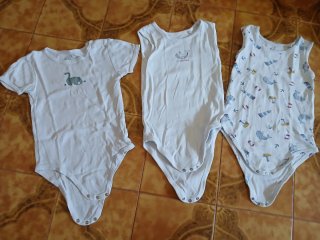 Set 3 body