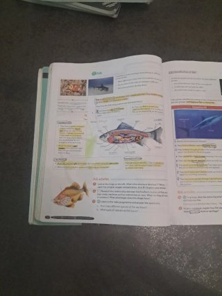 Biology & Geology 1º ESO. Student's book. GENiOX