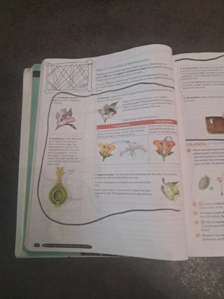 Biology & Geology 1º ESO. Student's book. GENiOX