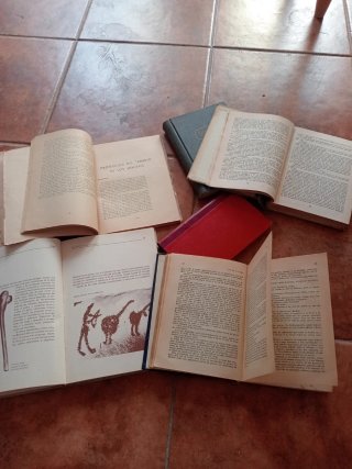 7 libros antiguos década de los 40 y 50