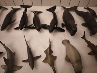 Figuras Animales Acuáticos Schleich