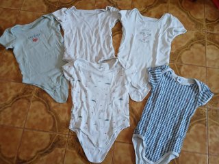 Set 5 body