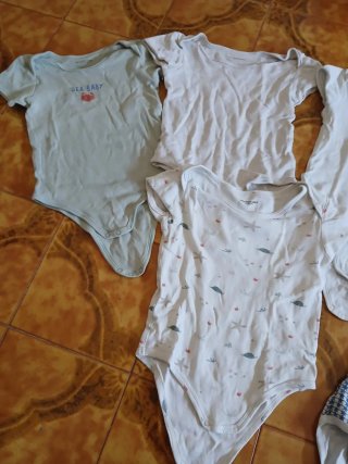 Set 5 body