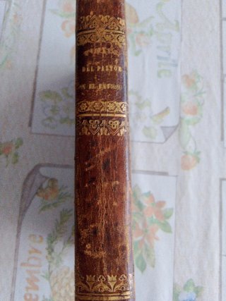 Libro antiguo 1849: Voces del Pastor en el Retiro