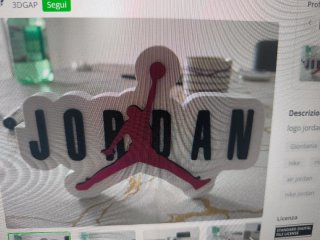 Michael Jordan Chicago Bulls 23 Logo Scarpa