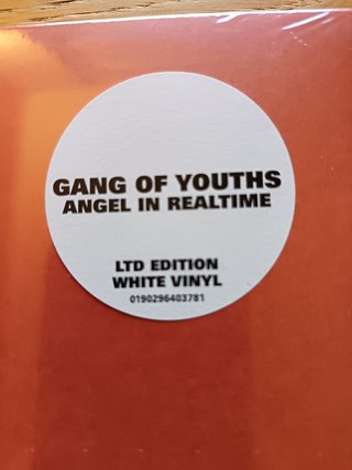 Gang of Youths - Angel in Realtime 2LP Vinilo Blan
