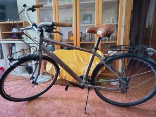 Bicicleta Paseo Grande Gris Metálico
