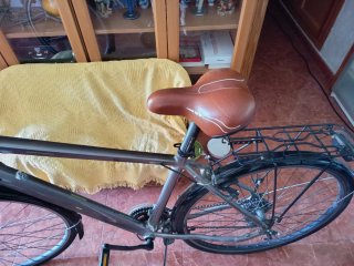 Bicicleta Paseo Grande Gris Metálico