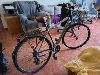 Bicicleta Paseo Grande Gris Metálico
