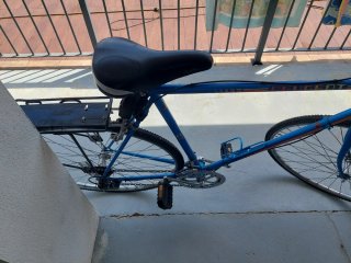 Bicicleta de paseo azul
