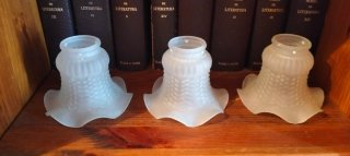 Tulipas de cristal para lámpara antigua